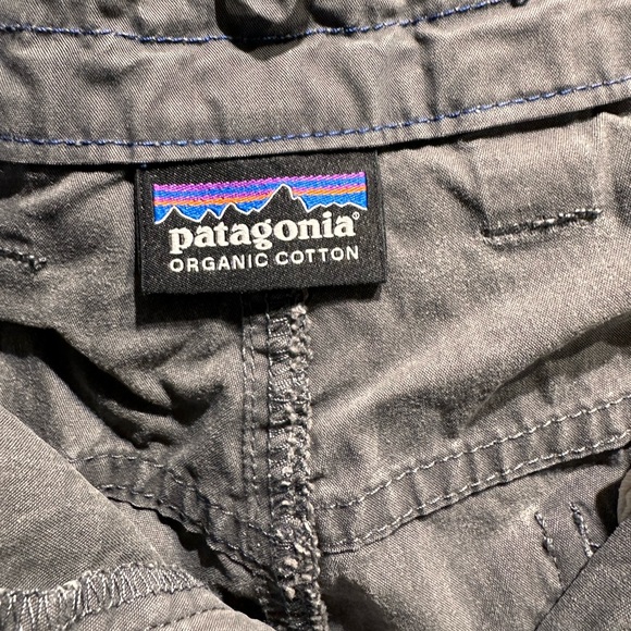 Patagonia Mens Shorts - Picture 2 of 3